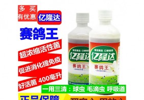 赛鸽王