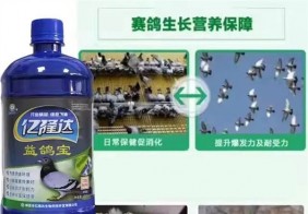 益鸽宝