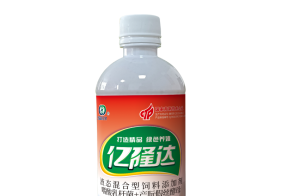 赛鸽王